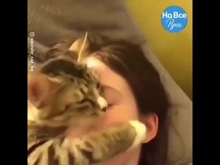 Котики тоже умеют любить!