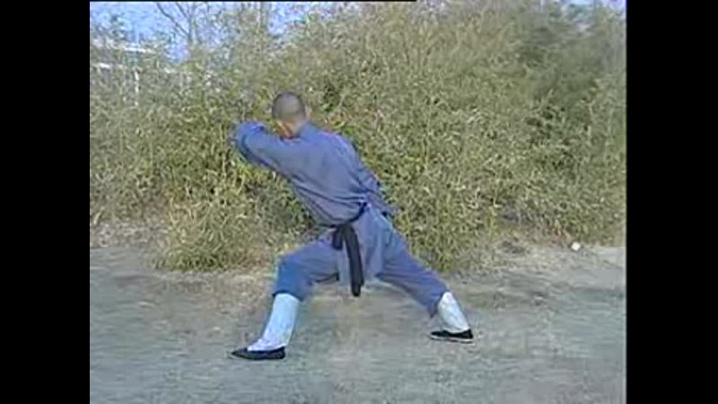 Shaolin Old Hong Fist