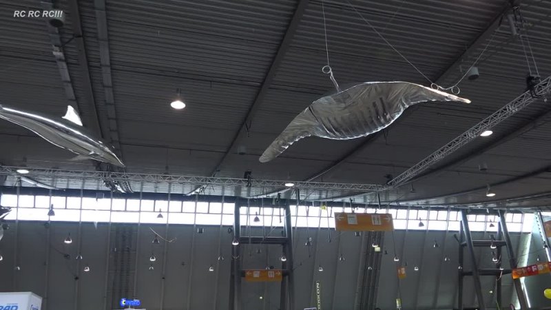 FLYING DEVIL FISH MANTA RAY AND FLYING DOLPHINS Modell Süd Stuttgart