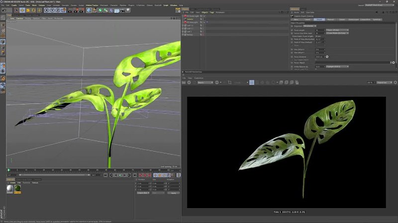 Realistic Plant Texturing and Rendering using Substance Painter, Cinema 4D, and