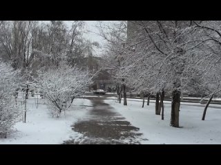 Весна отменяется. Опять зима. Волгоград 29 марта 2014.