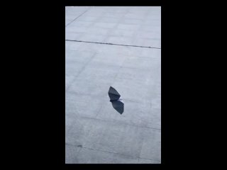 Летающая птичка в технике оригами
