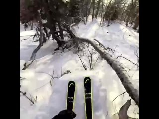 спуск на лыжах