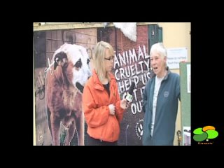 Eiremedia  Animal Welfare