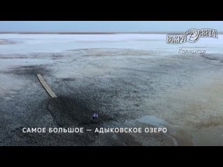 По следам исчезающих сайгаков: невероятное путешествие по Калмыкии