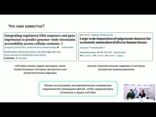 Клеточно-специфическая интерпретация некодирующих вариантов с помощью методов глубокого обучения. Синдеева М.А.