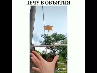 Лечу в объятия