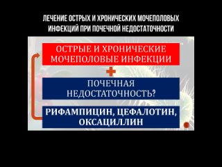 Лечение острых и хронических мочеполовых инфекций при почечной недостаточности