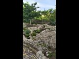 Видео от Гостевой дом Villa Kolibry Щелкино Крым