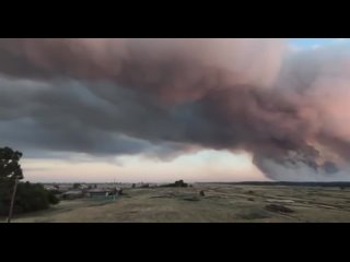 Видео из Угловского района Алтая: там пройденная огнём площадь природного пожара составила 2,3 тыс. га