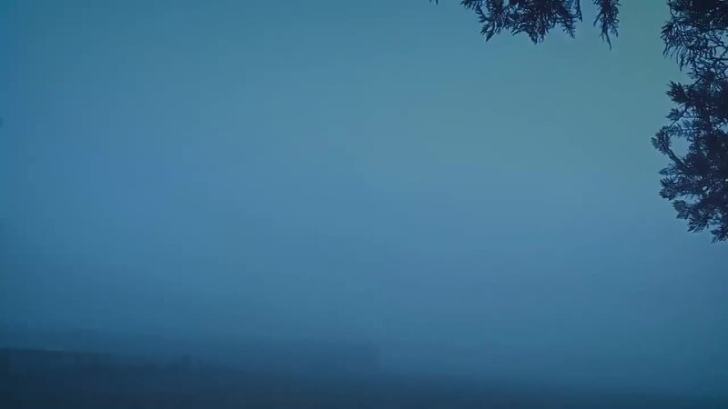 Creatures of the Fog (720p)