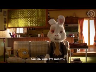Кролик Ральф Full HD _ Полное видео _  косметику тестируют на кролике (720p).mp4