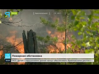 Спасатели «Ямалспаса» ликвидируют два очага лесных пожаров