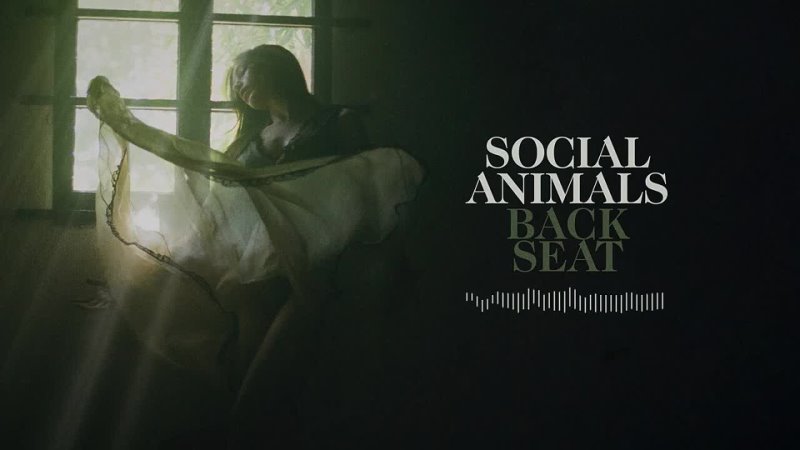 Social Animals - Back Seat (Visualizer)