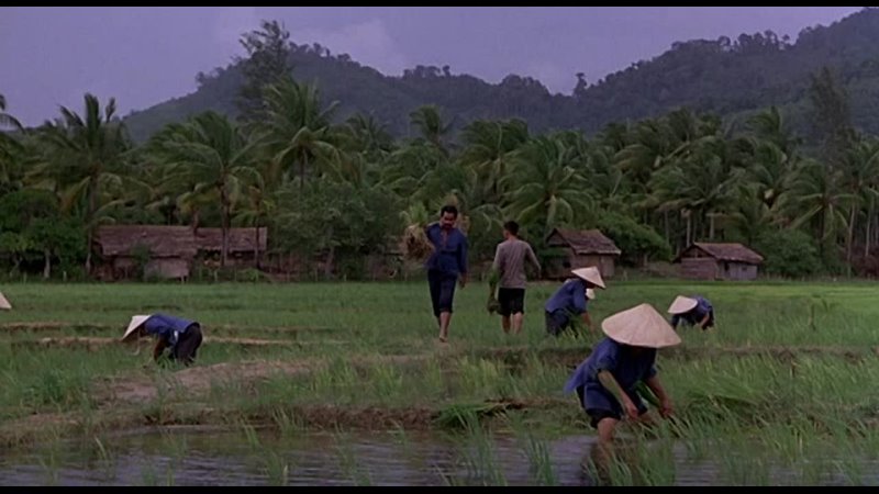 Good Morning, Vietnam (1987)