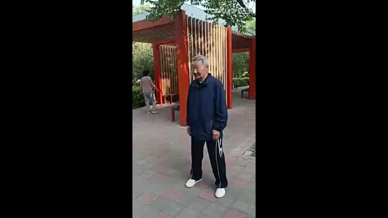 Li Shenggui leads Yang-style Taijiquan Xiaojia