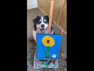 Viral_Video_This_Adorable_Dog_Painting_a_Flower_on_Canvas_Will_Definitely