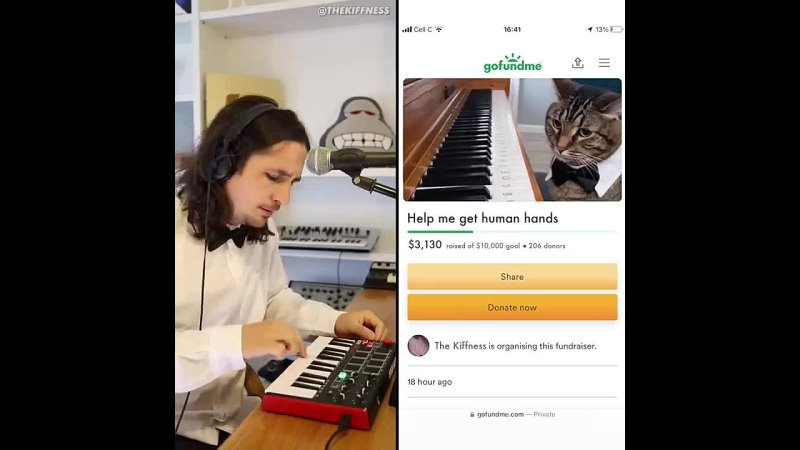 [The Kiffness] The Kiffness x Mozart Cat - Piano Playing Cat (Remix)