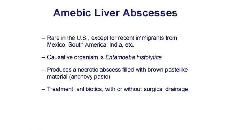 111. Pathology Liver Pathology Amebic Liver