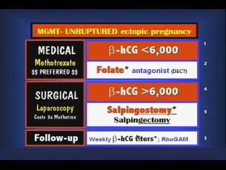OB_Ch02-D-Ectopic Pregnancy