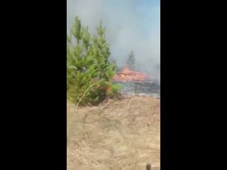 Жители посёлка Глинный в Нижнеингашском районе поблагодарили лесных пожарных за спасение от огня