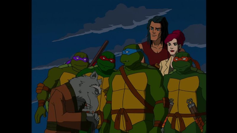 Teenage Mutant Ninja Turtles ( TMNT 2003) S02 E10 The Ultimate Ninja