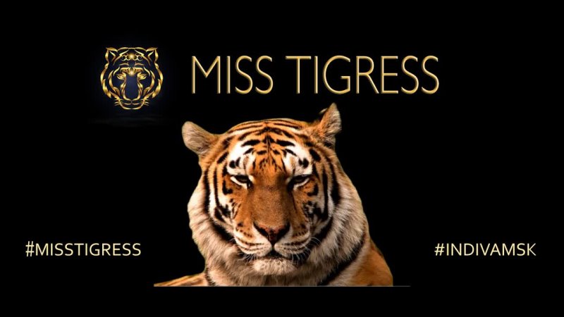 Miss Tigress