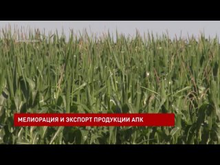 Развитие мелиорации и экспорта продукции АПК обсудили на выездном заседании донского минсельхозпрода в Багаевском районе