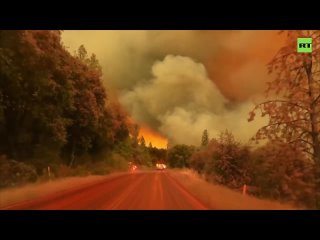 В Калифорнии уже третий день не могут потушить лесной пожар недалеко от Йосемитского национального парка