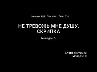 Валерий Меладзе - Не Тревожь Мне Душу, Скрипка (караоке)