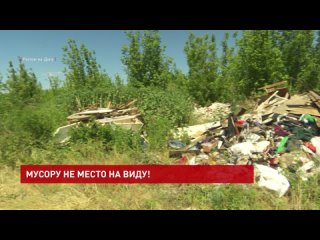 Мусору не место на ростовских улицах