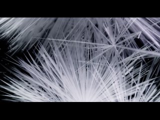 Кристаллизация льда BELLATRIX - Sebastien Guerive