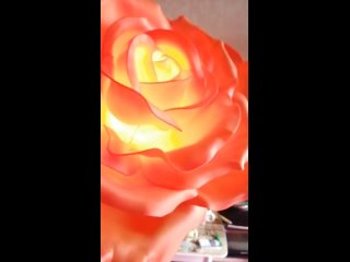 Обзор светильника “Роза“