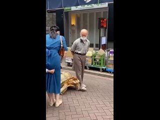 Японец выгуливает черепаху | ДЕРЗКИЙ КВАДРАТ