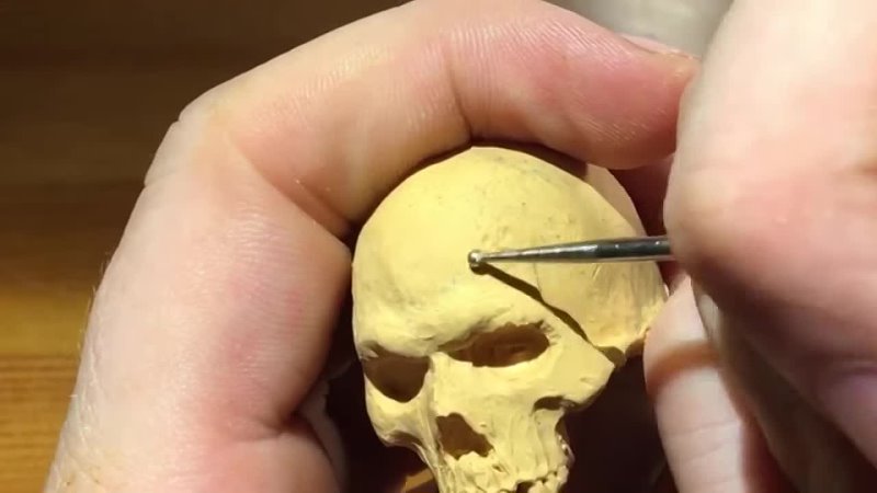 SCULPTING A SKULL IN CLAY ATTEMPT,