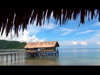 Папуа: Секретный остров каннибалов | HD 720
