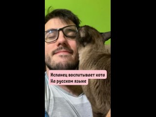 Испанец воспитывает кота на русском языке