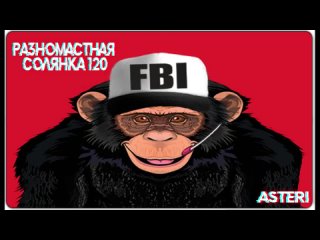 Asteri Pranks - Разномастная Солянка 120