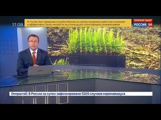 Россия 24, Москва, 5 сентября 2020 Экологическая акция Сохраним лес в Мурманске