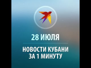 Новости Кубани от 29 июля