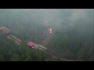 Три очага лесных пожаров локализовали в Рязанской области