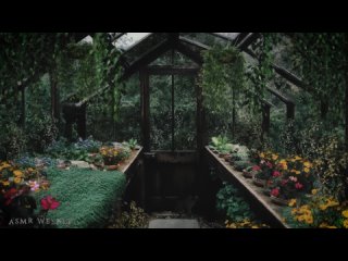 Rainy day in the Greenhouse ◈ Cottage Core Aesthetic ASMR Ambience ◈ Nature Sounds ◈ Soft Music
