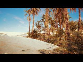 TOMMO feat REEA - MOROCCO (Official Video)