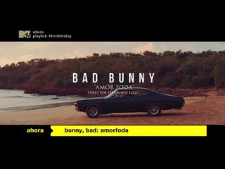 Bad Bunny - Amorfoda