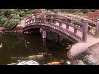 Zen Garden - Koi Pond Relaxation, Meditation, Mindfulness Stress Reduction (Full Length)