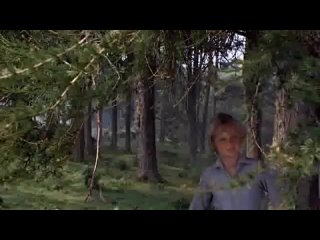 (Ф.П) Run Wild, Run Free (1969) Беги, малыш, беги. Беги свободно. Великобритания (РУССКАЯ ОЗВУЧКА)