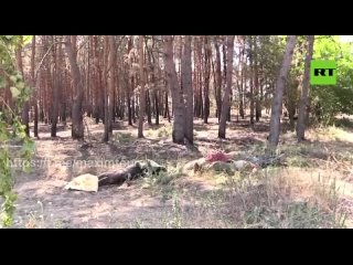 «Окружённые ВСУ в Лисичанске будут пробовать убегать малыми группами по лесам, он...