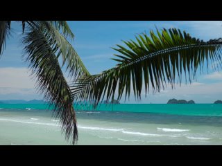 10 - 🌴 Sons des vagues sur l’île tropicale de Koh Samui, relaxation rapide du corps, sons naturels
