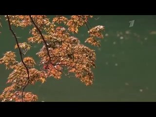 Yaponii.Obratnaya.storona.kimono.e03