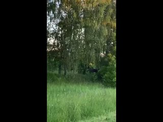 Видео от DozoR Нижний Новгород|Городской квест| Автоквест
